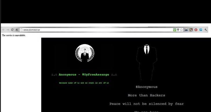 Julian Assange, Anonymous